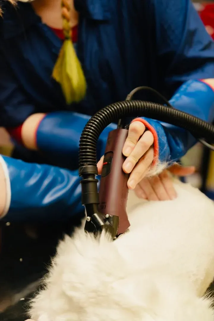 Targeted clipper coat reset